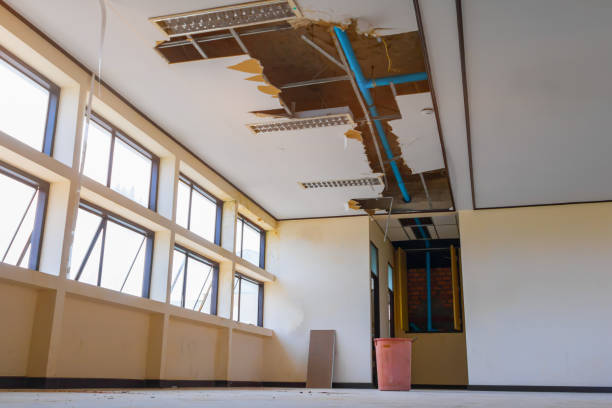 Best Water damage contractors near me  in East Dubuque, IL