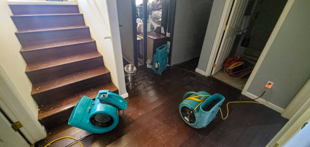 Best Water damage cleanup near me  in East Dubuque, IL