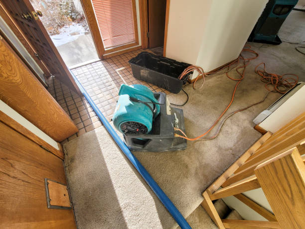 Best Local water damage restoration  in East Dubuque, IL
