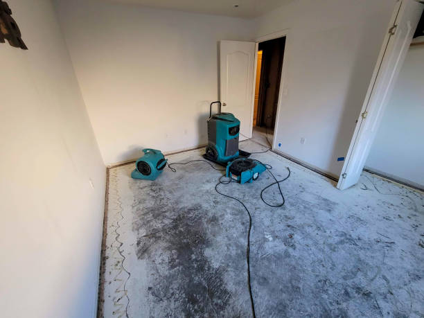 Best 24/7 water damage repair  in East Dubuque, IL