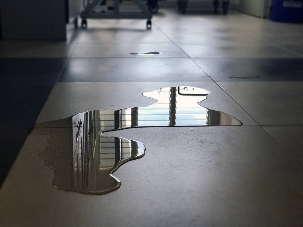 Best Water damage cleanup near me  in East Dubuque, IL