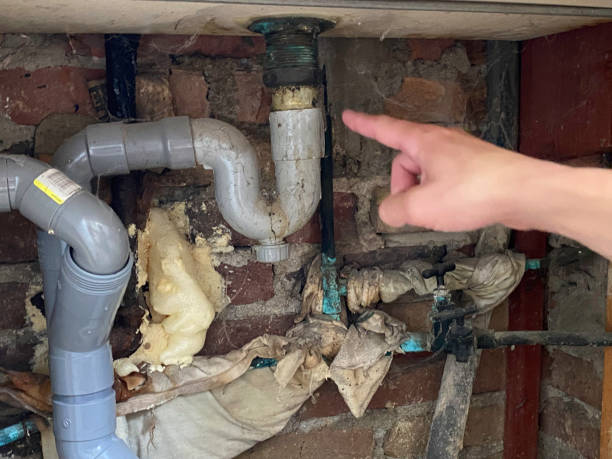  East Dubuque, IL Water damage restoration Pros