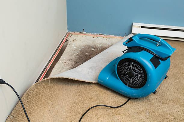 Best 24-hour water damage restoration  in East Dubuque, IL
